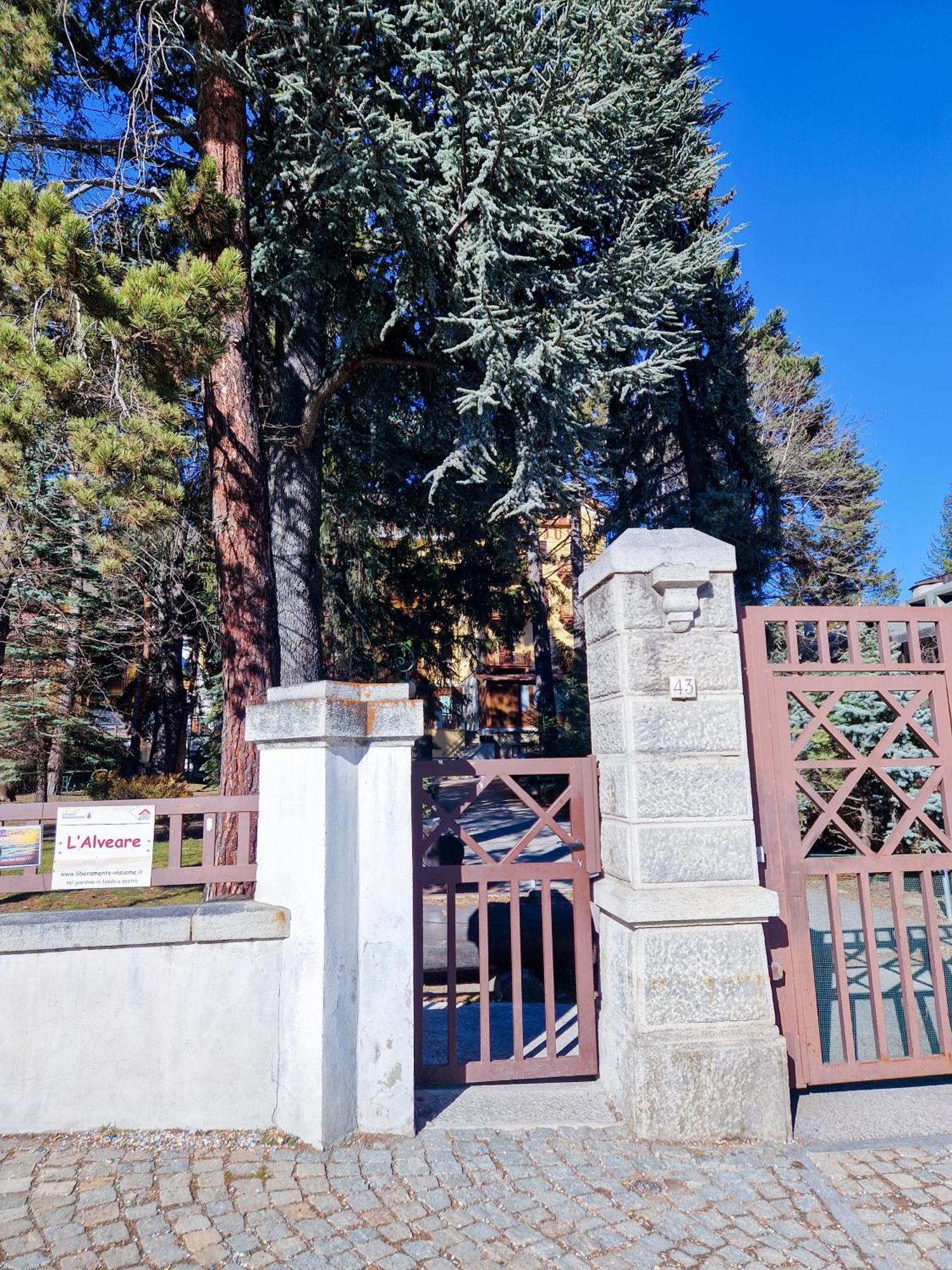 Bardonecchia Studio Apartment - Frejus Palace Dış mekan fotoğraf